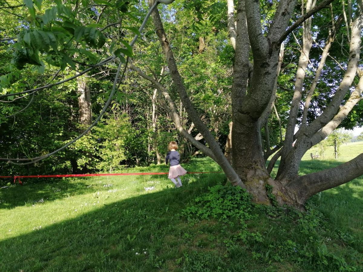 5Sterne Ferienwohnung Im Fachwerk Mit Bergblick In Alleinlage Und Grossem Garten, Infrarotkabine Humberg Exterior foto